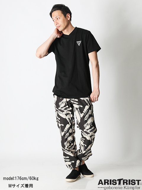 2016SS_model_cordinate