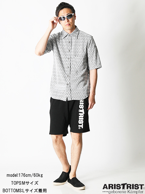 2016SS_model_cordinate